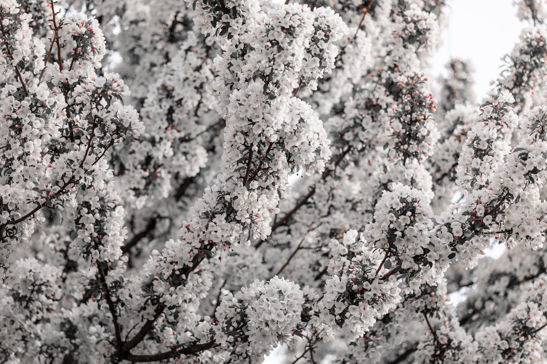 Welcome to 600 Washington Homeowners Association!